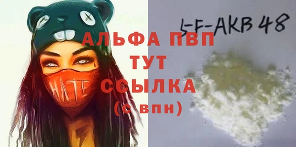 молекула духа Надым