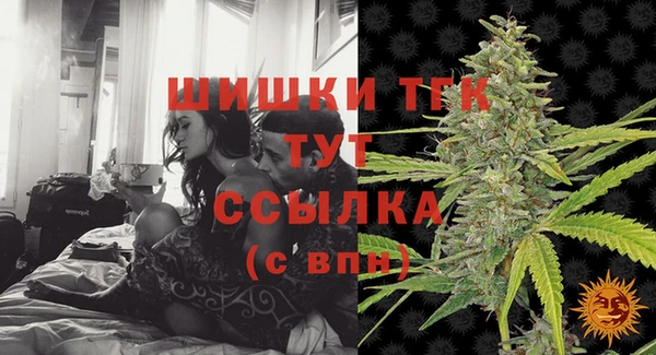молекула духа Надым