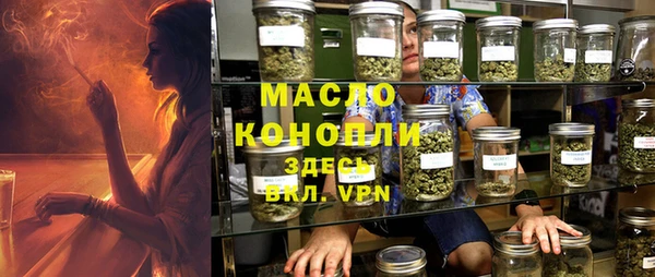 молекула духа Надым