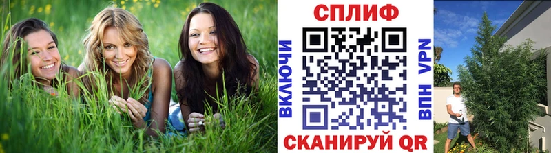 omg зеркало  Тюмень  Бошки Шишки Bruce Banner 